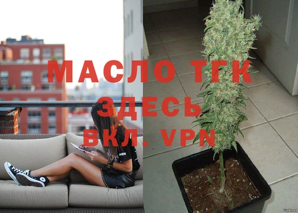 ешки Вязьма