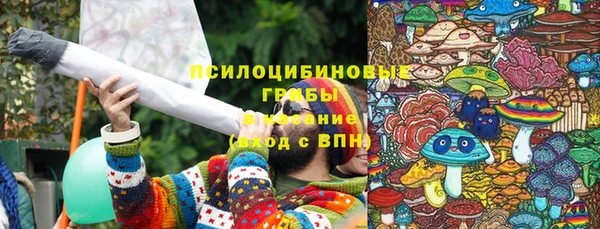 а пвп мука Козловка