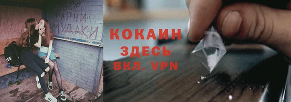 ALPHA PVP Вяземский