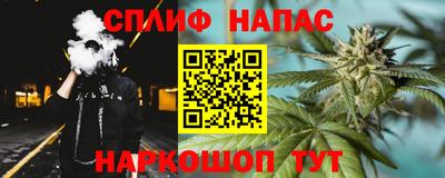 mdpv Краснознаменск