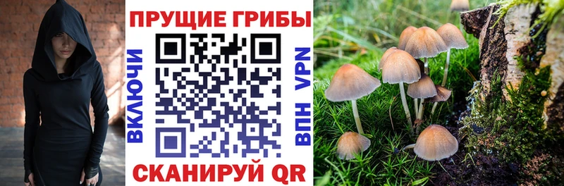 Псилоцибиновые грибы Psilocybe  где можно купить наркотик  Топки 